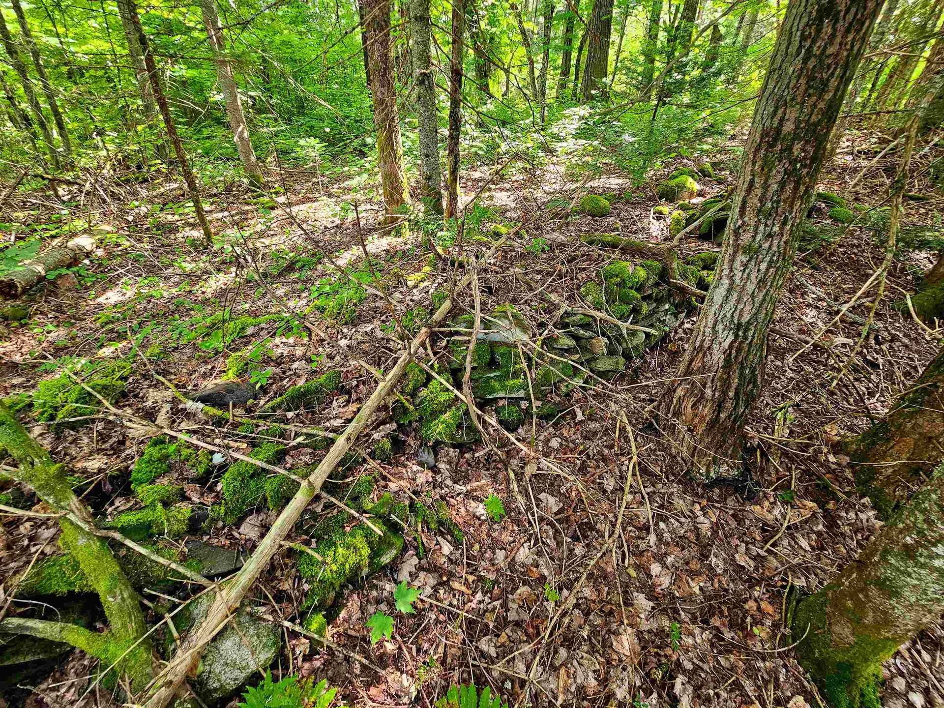 1746 Urban Farm Way Cabot VT 05647