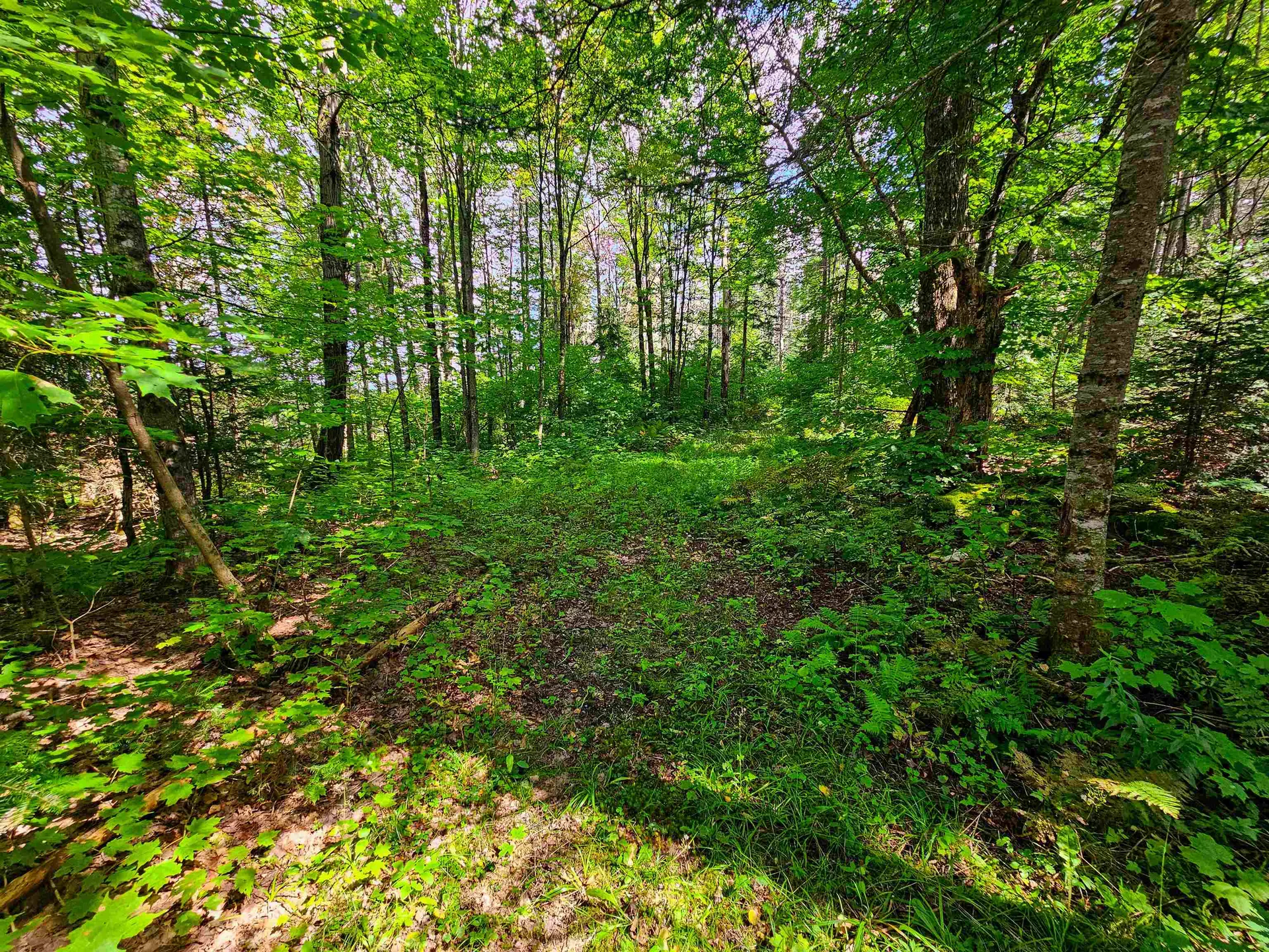 1746 Urban Farm Way Cabot VT 05647