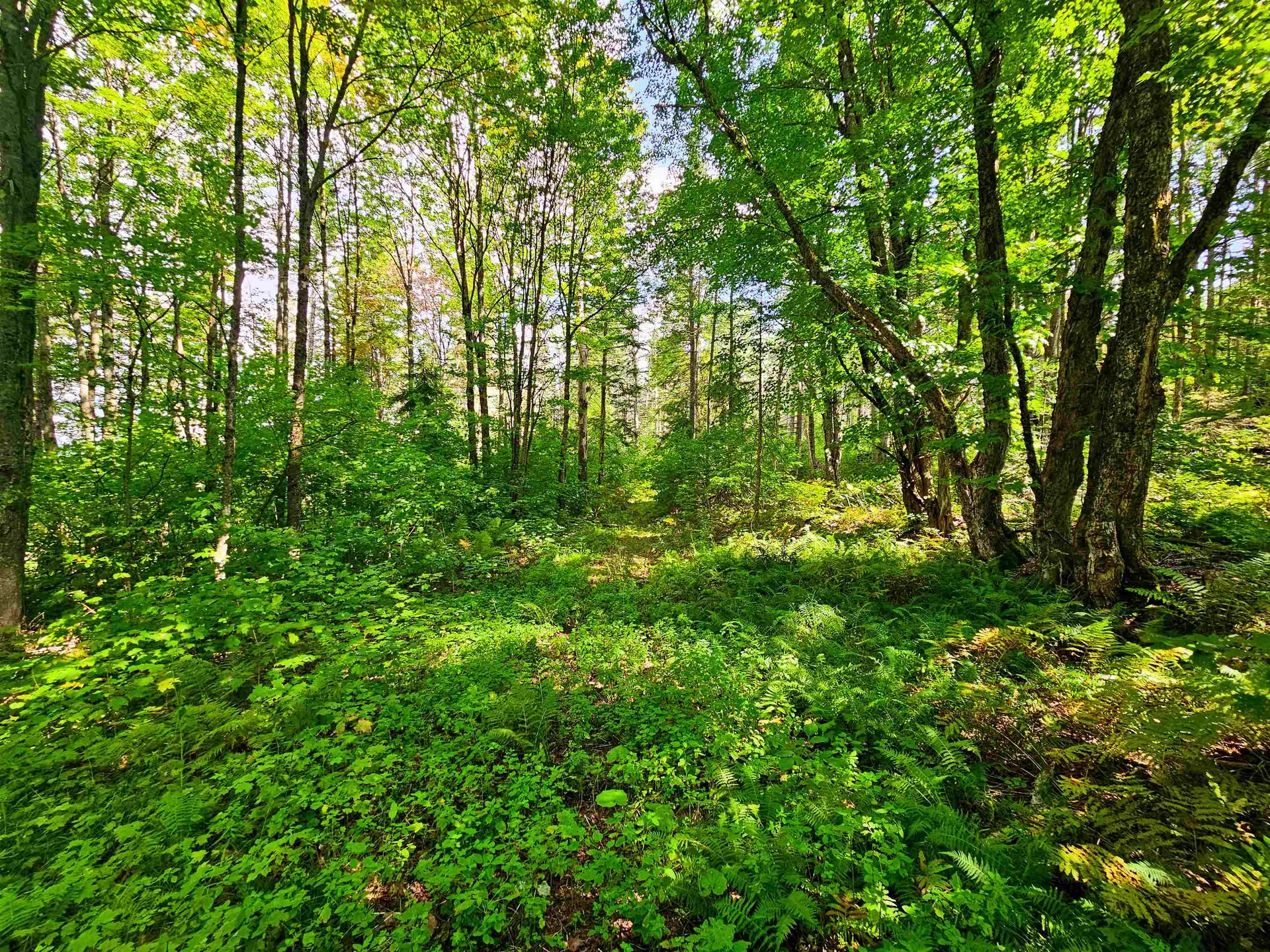 1746 Urban Farm Way Cabot VT 05647