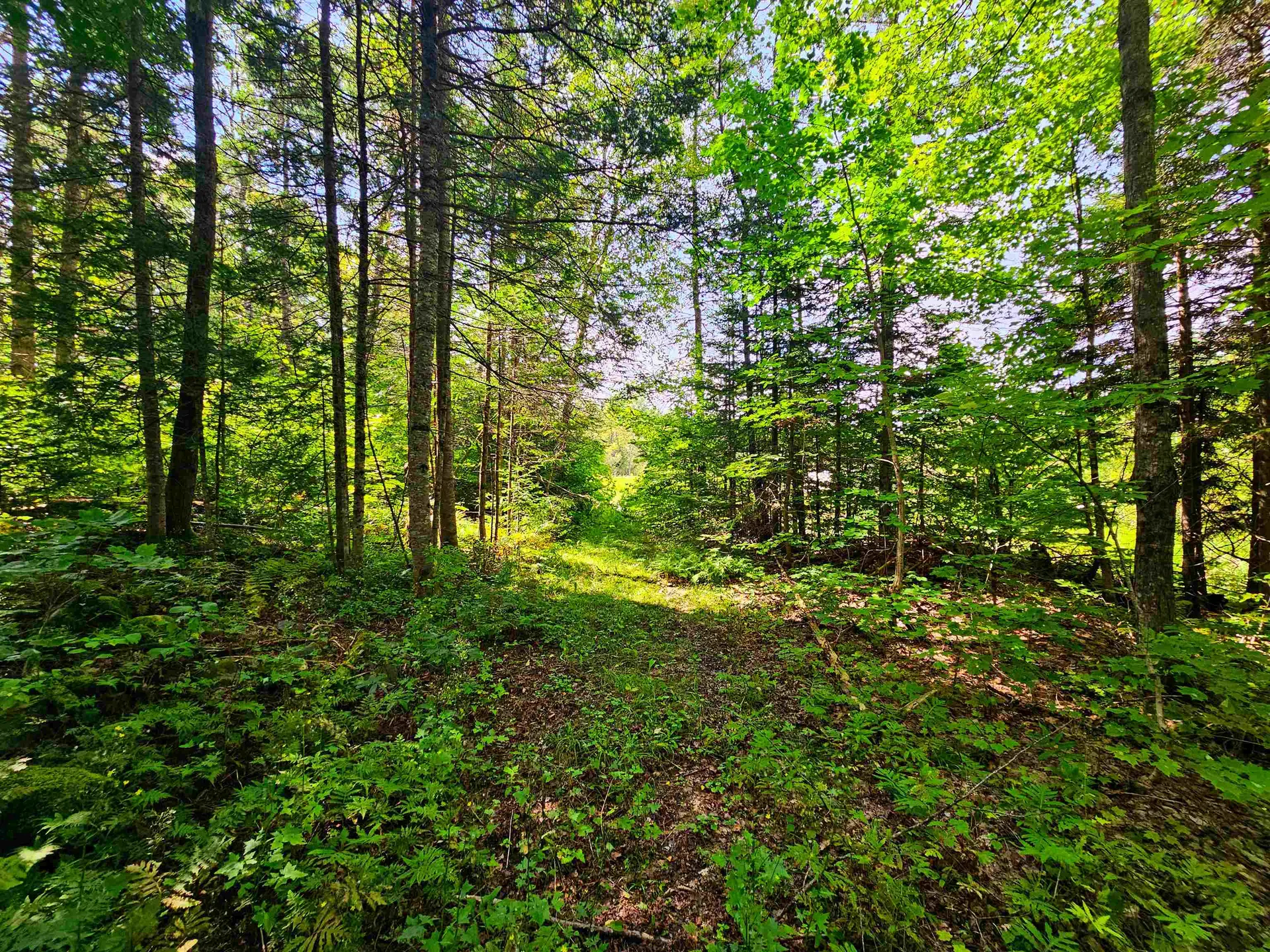 1746 Urban Farm Way Cabot VT 05647