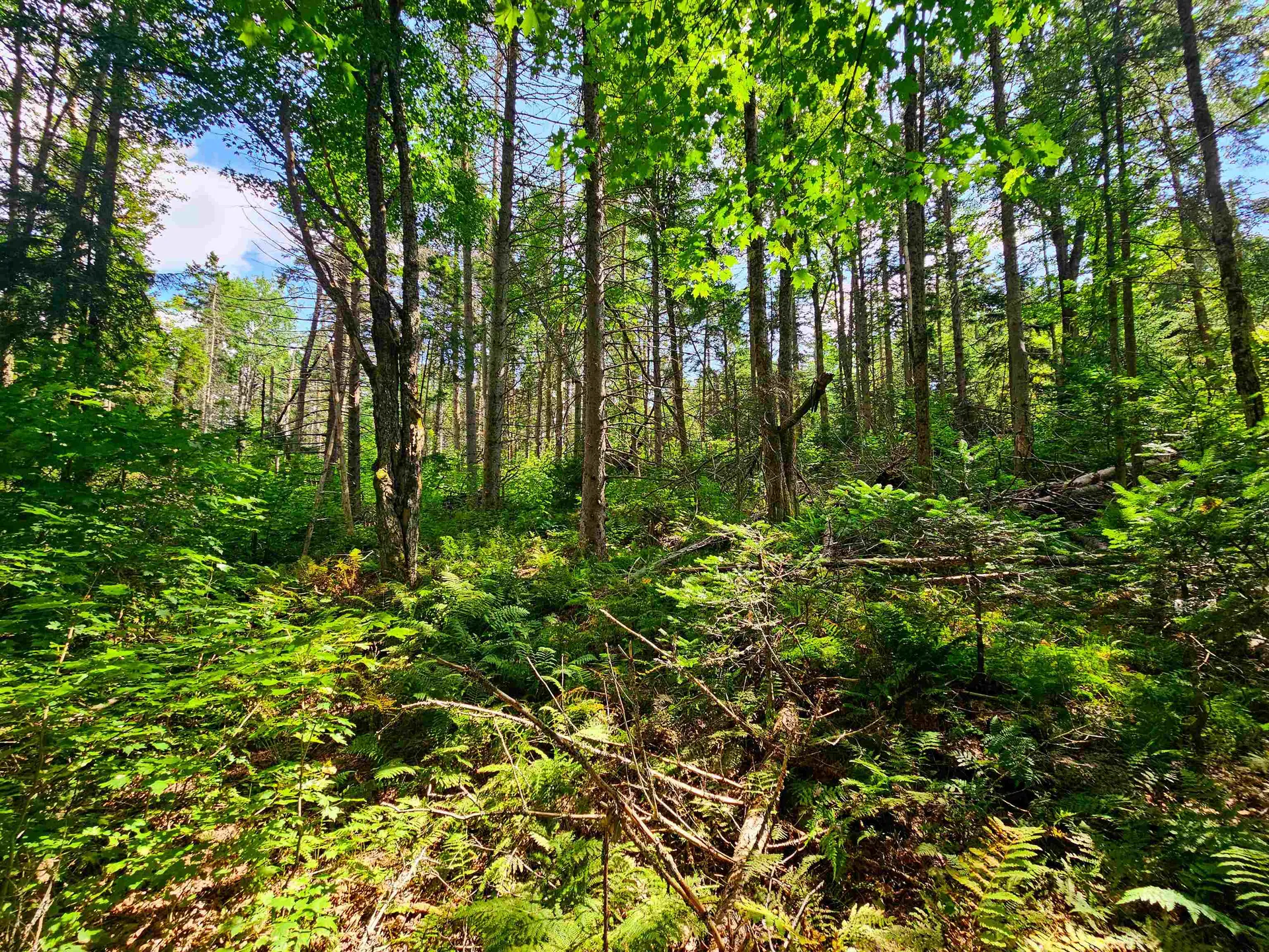 1746 Urban Farm Way Cabot VT 05647