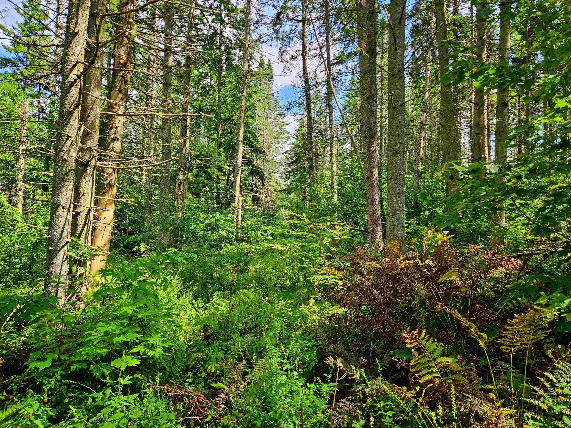 1746 Urban Farm Way Cabot VT 05647