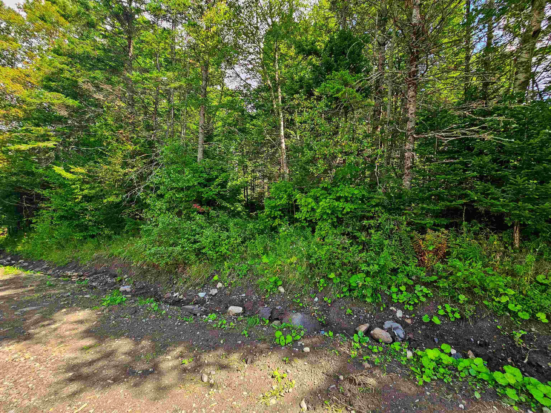 1746 Urban Farm Way Cabot VT 05647