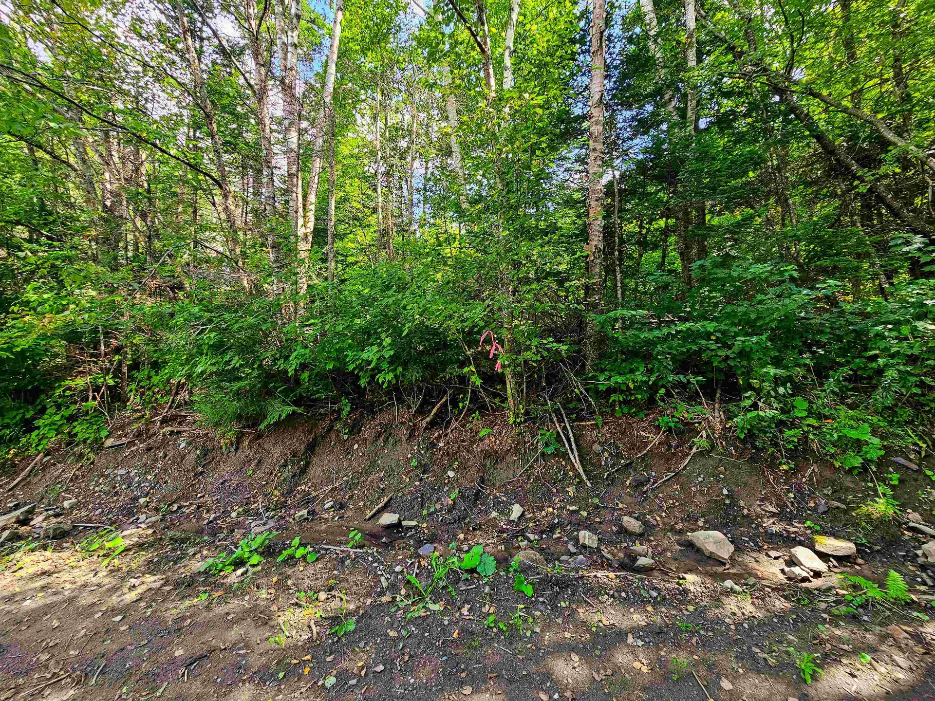 1746 Urban Farm Way Cabot VT 05647