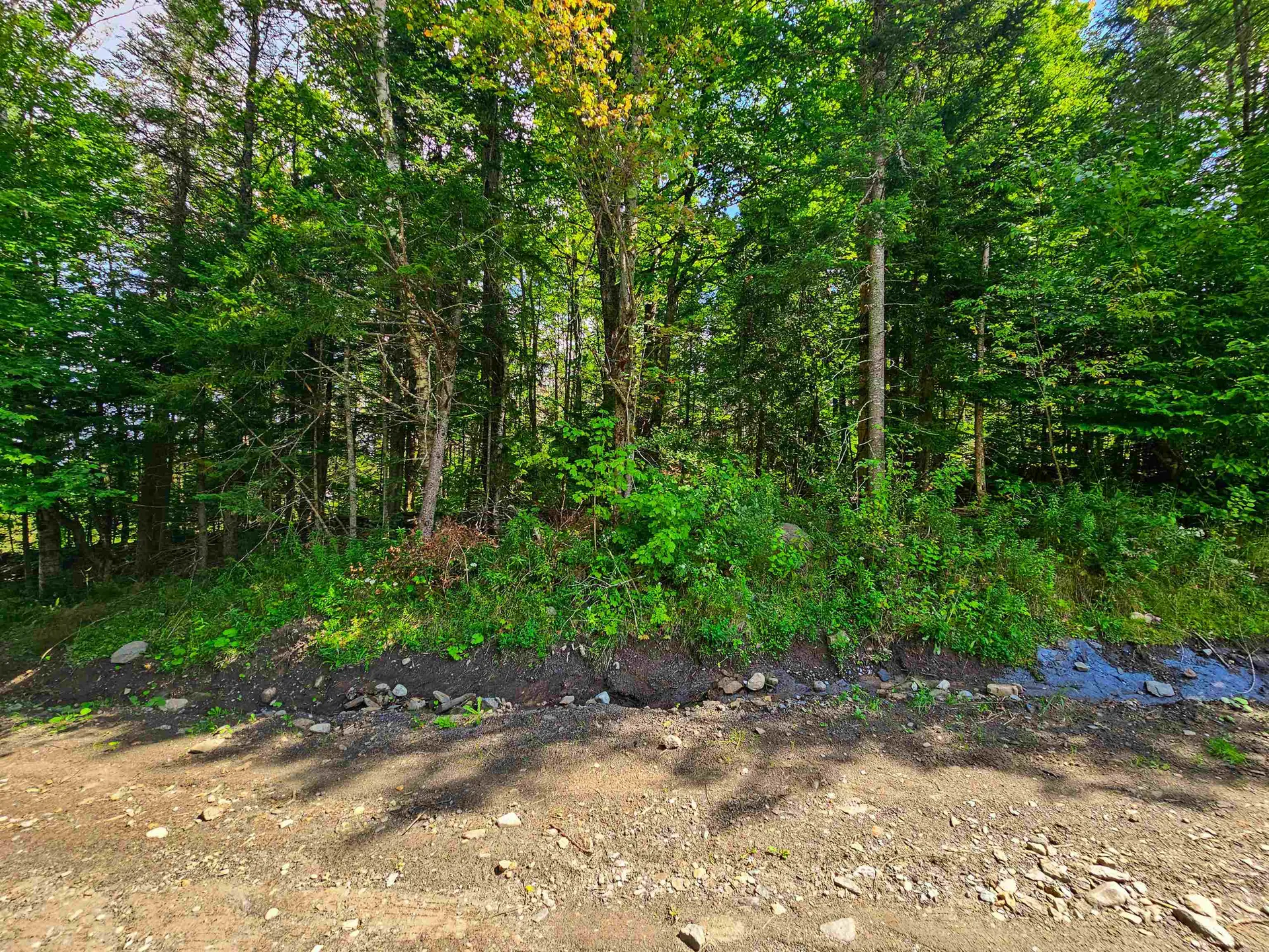 1746 Urban Farm Way Cabot VT 05647