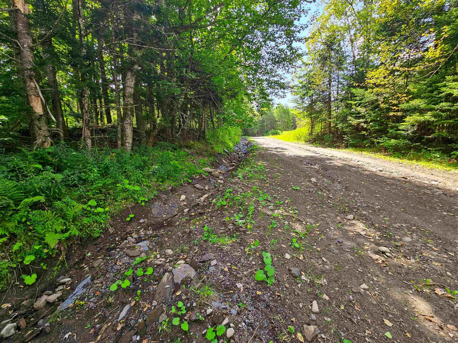 1746 Urban Farm Way Cabot VT 05647