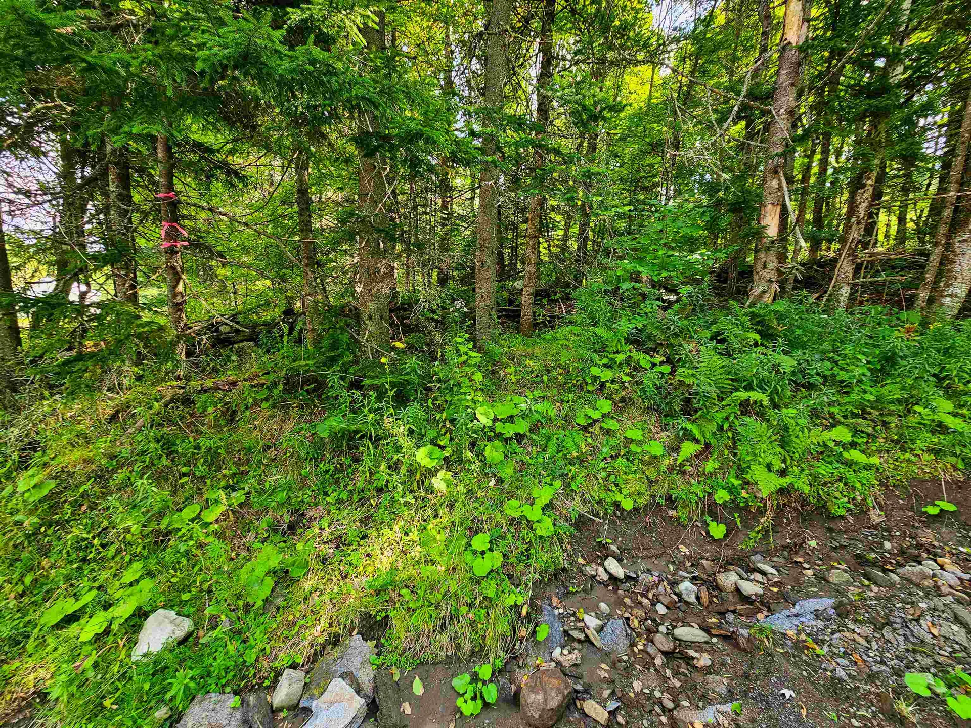 1746 Urban Farm Way Cabot VT 05647