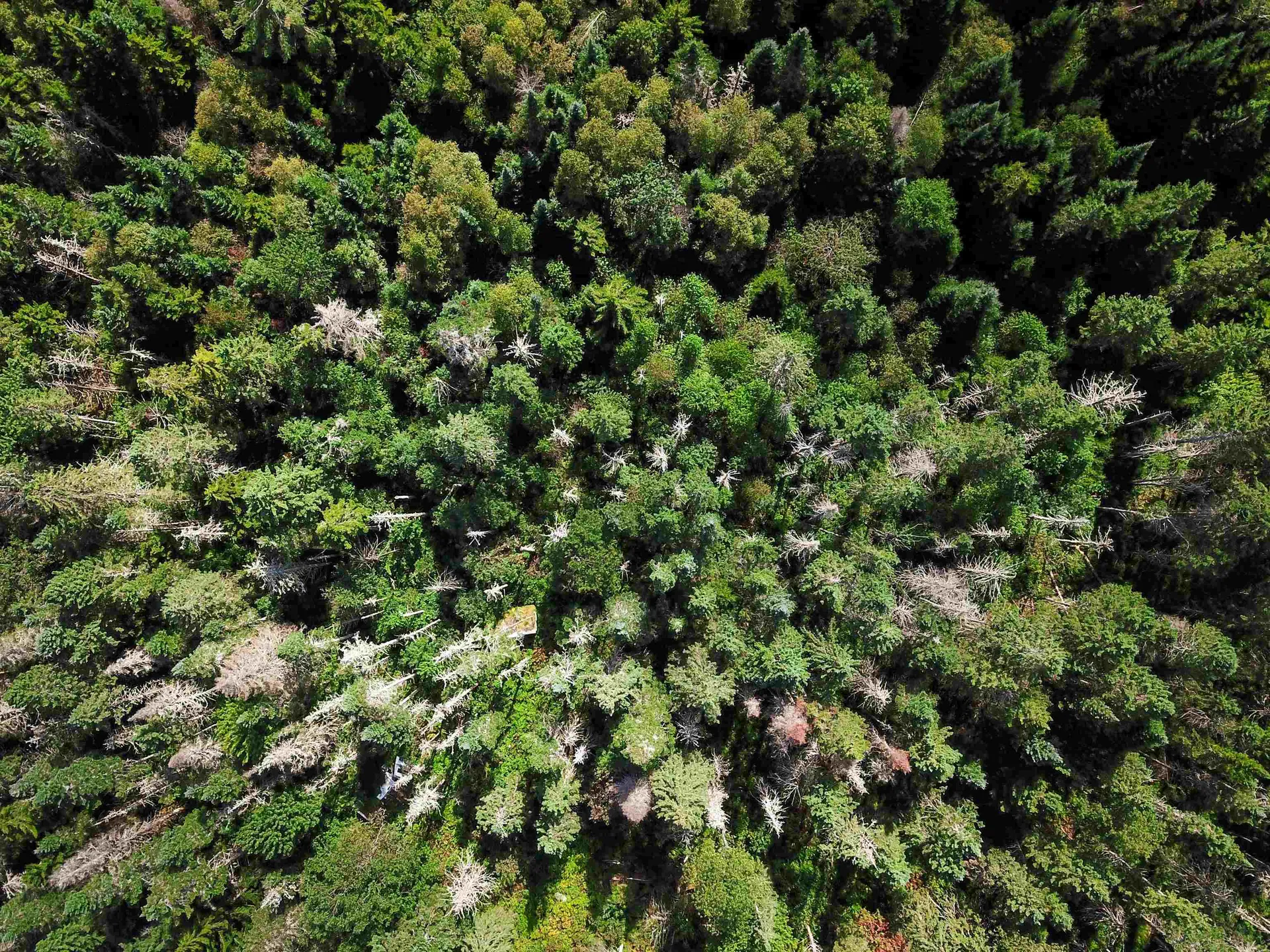 1746 Urban Farm Way Cabot VT 05647