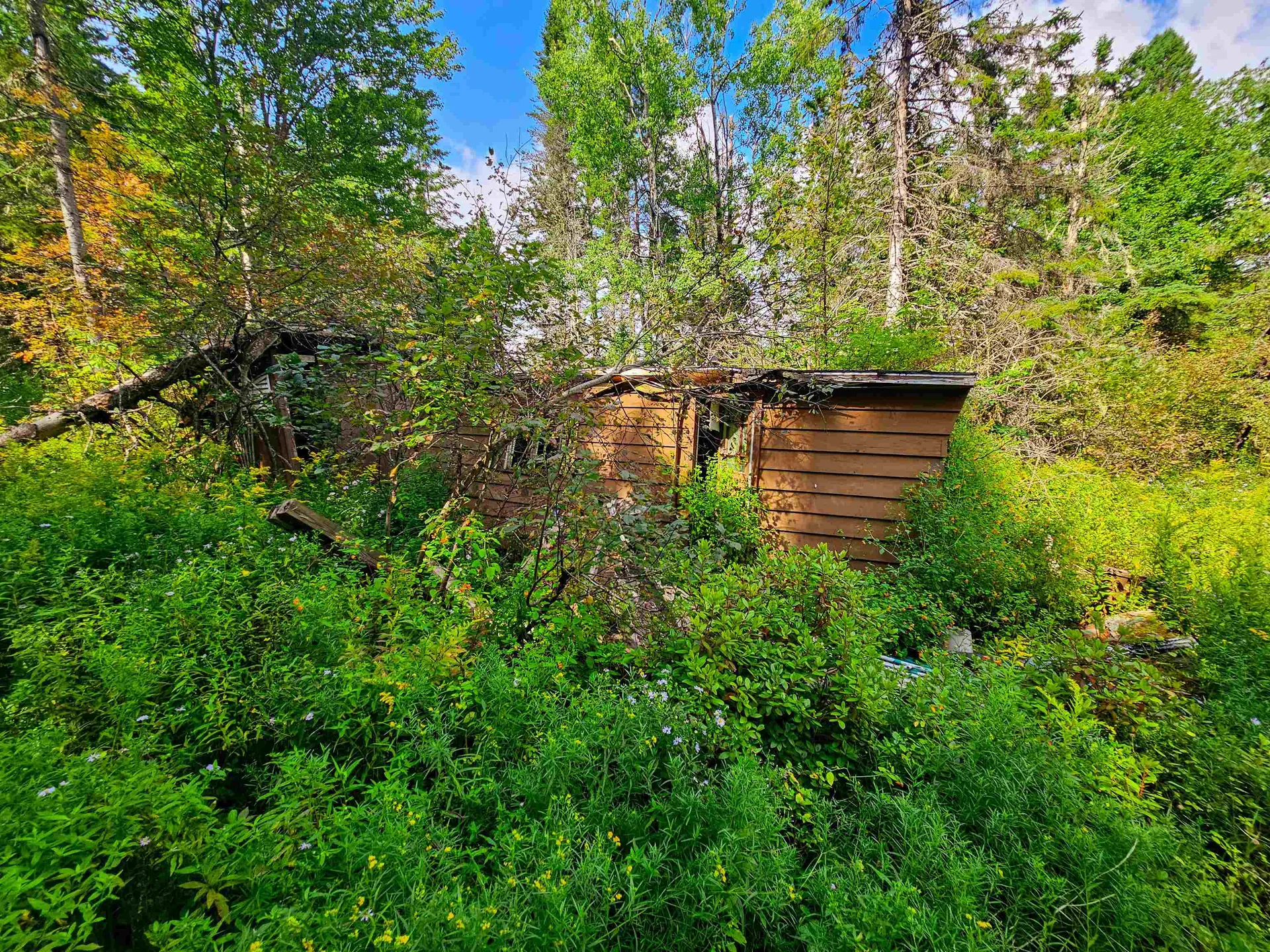 1746 Urban Farm Way Cabot VT 05647