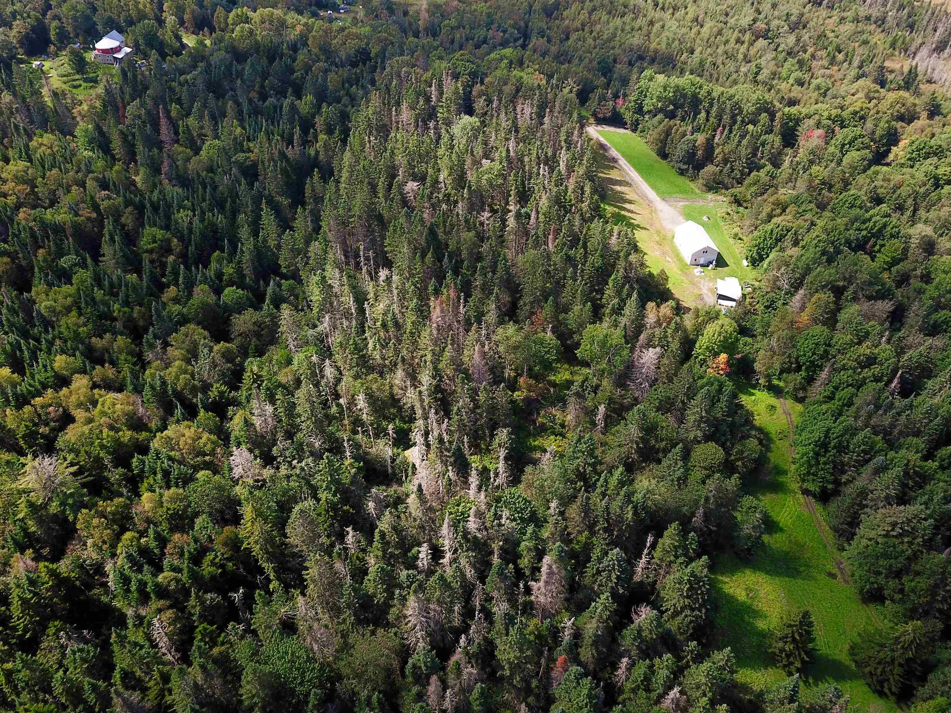 1746 Urban Farm Way Cabot VT 05647