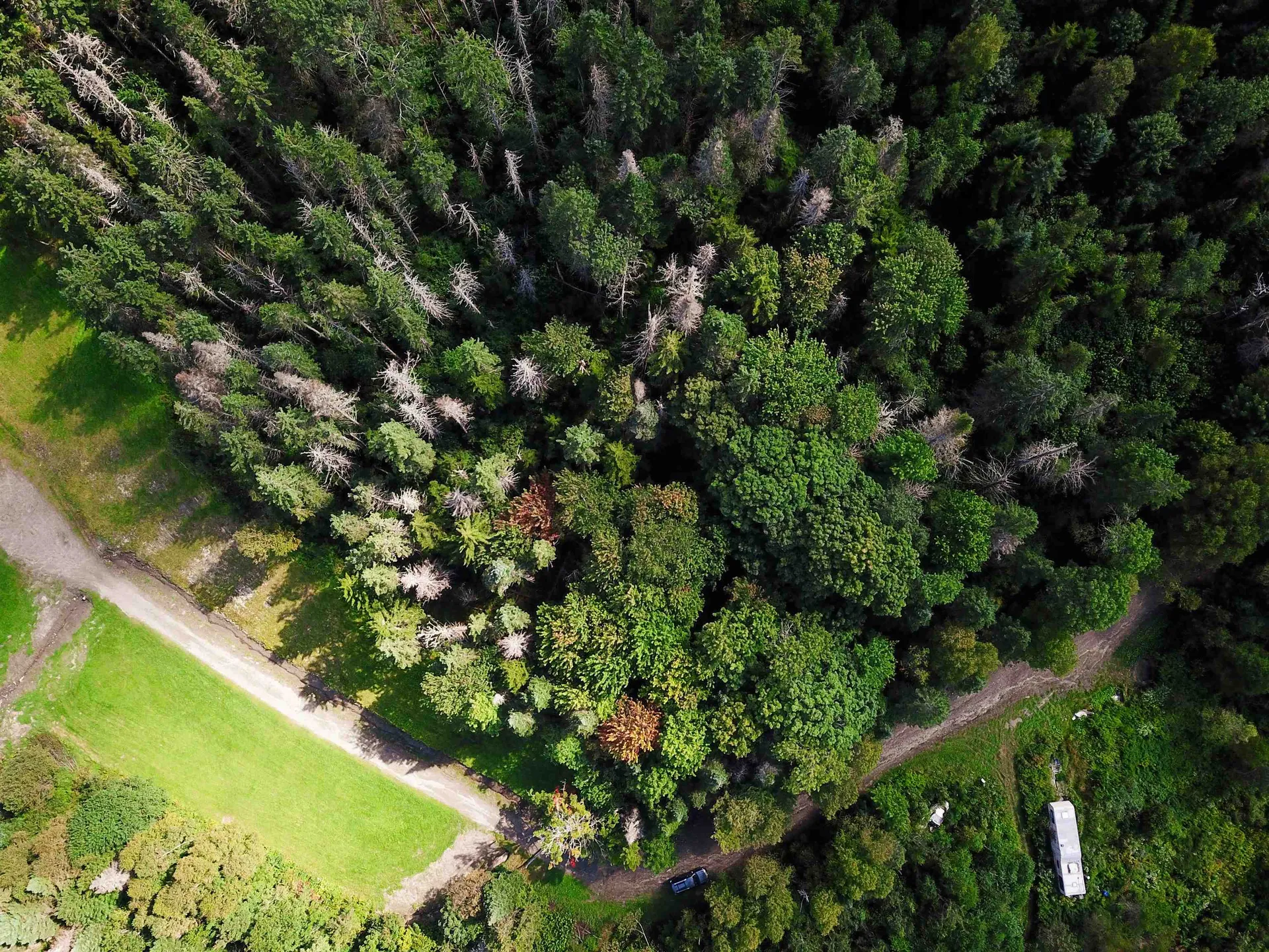 1746 Urban Farm Way Cabot VT 05647