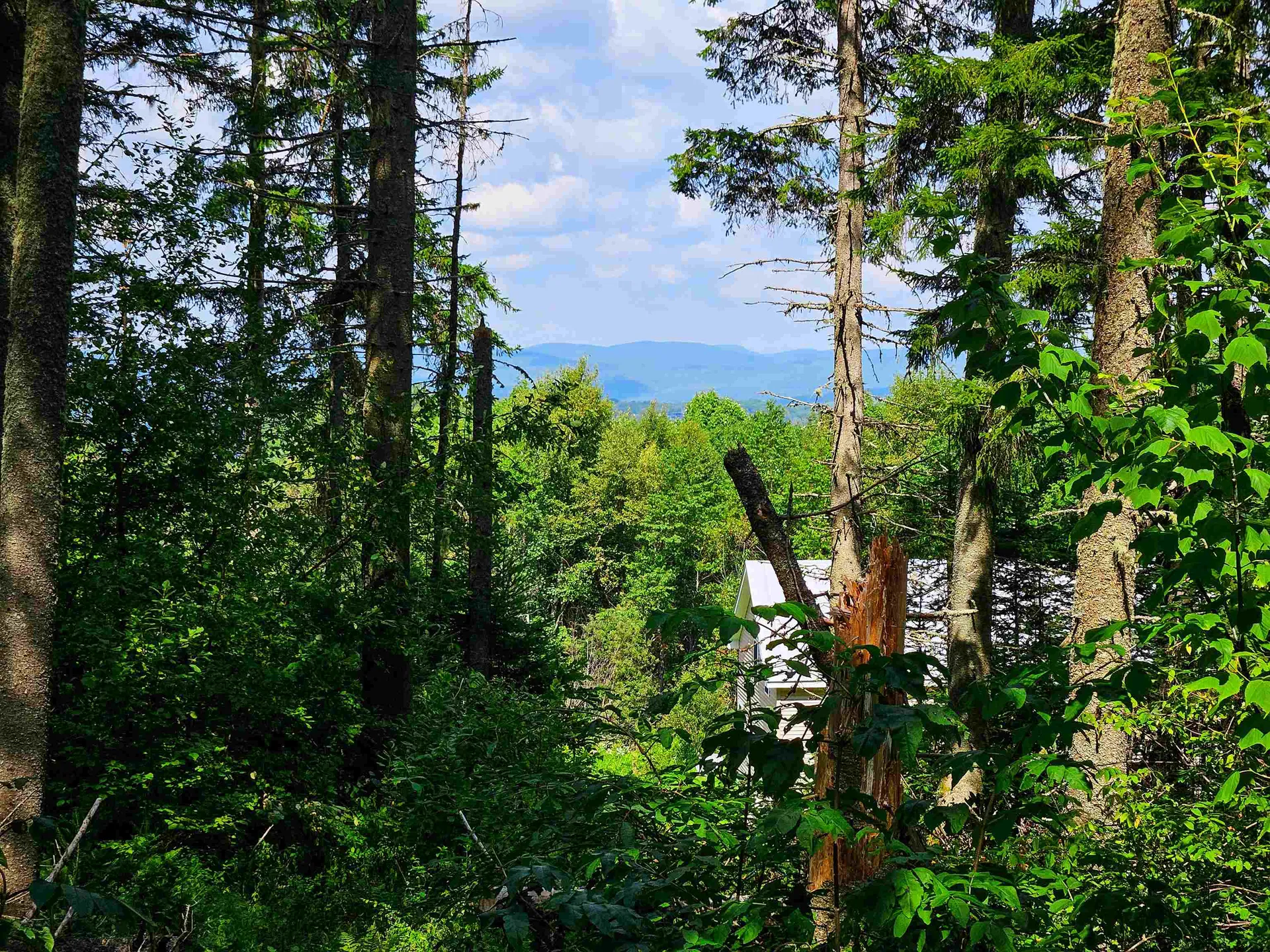 1746 Urban Farm Way Cabot VT 05647