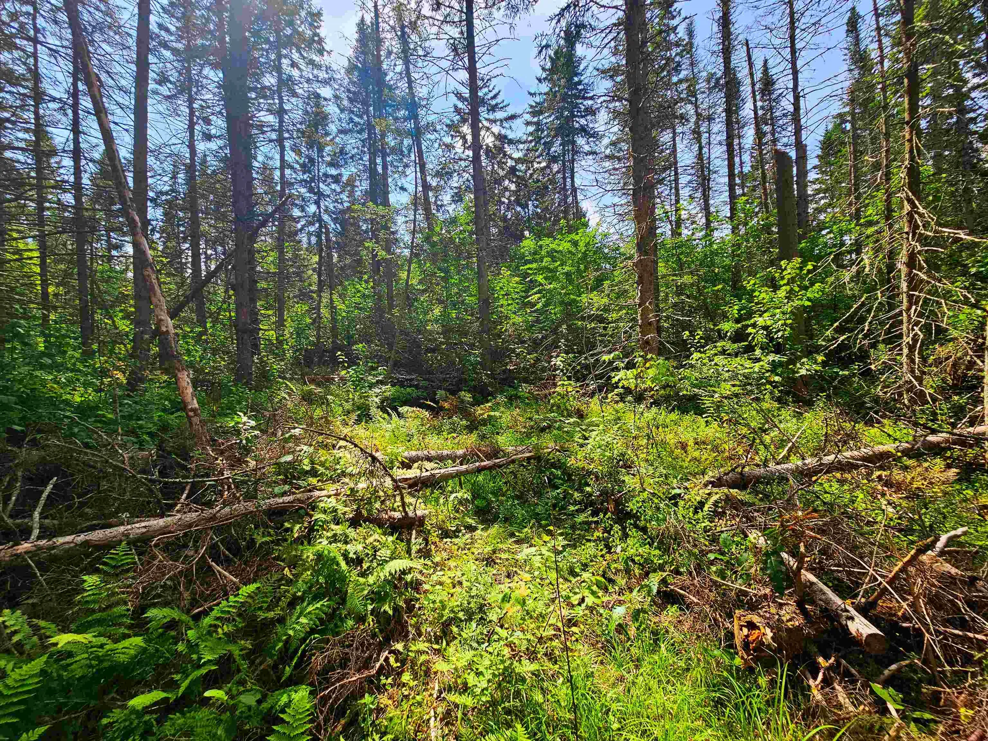 1746 Urban Farm Way Cabot VT 05647