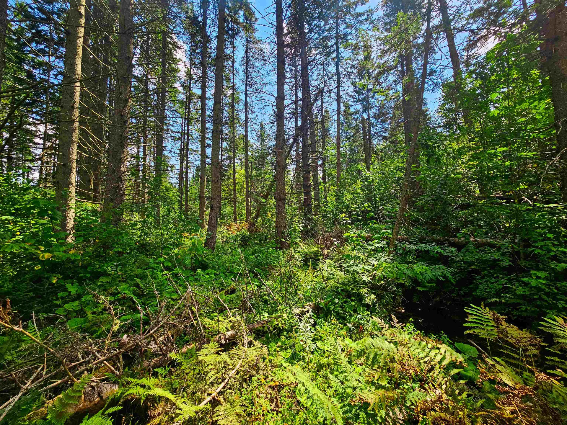 1746 Urban Farm Way Cabot VT 05647