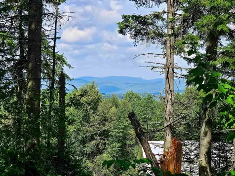 1746 Urban Farm Way Cabot VT 05647