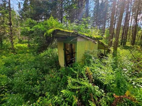 1746 Urban Farm Way Cabot VT 05647