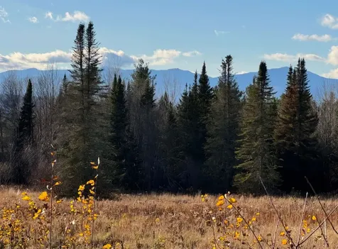 1201 Town Hill Road Wolcott VT 05680