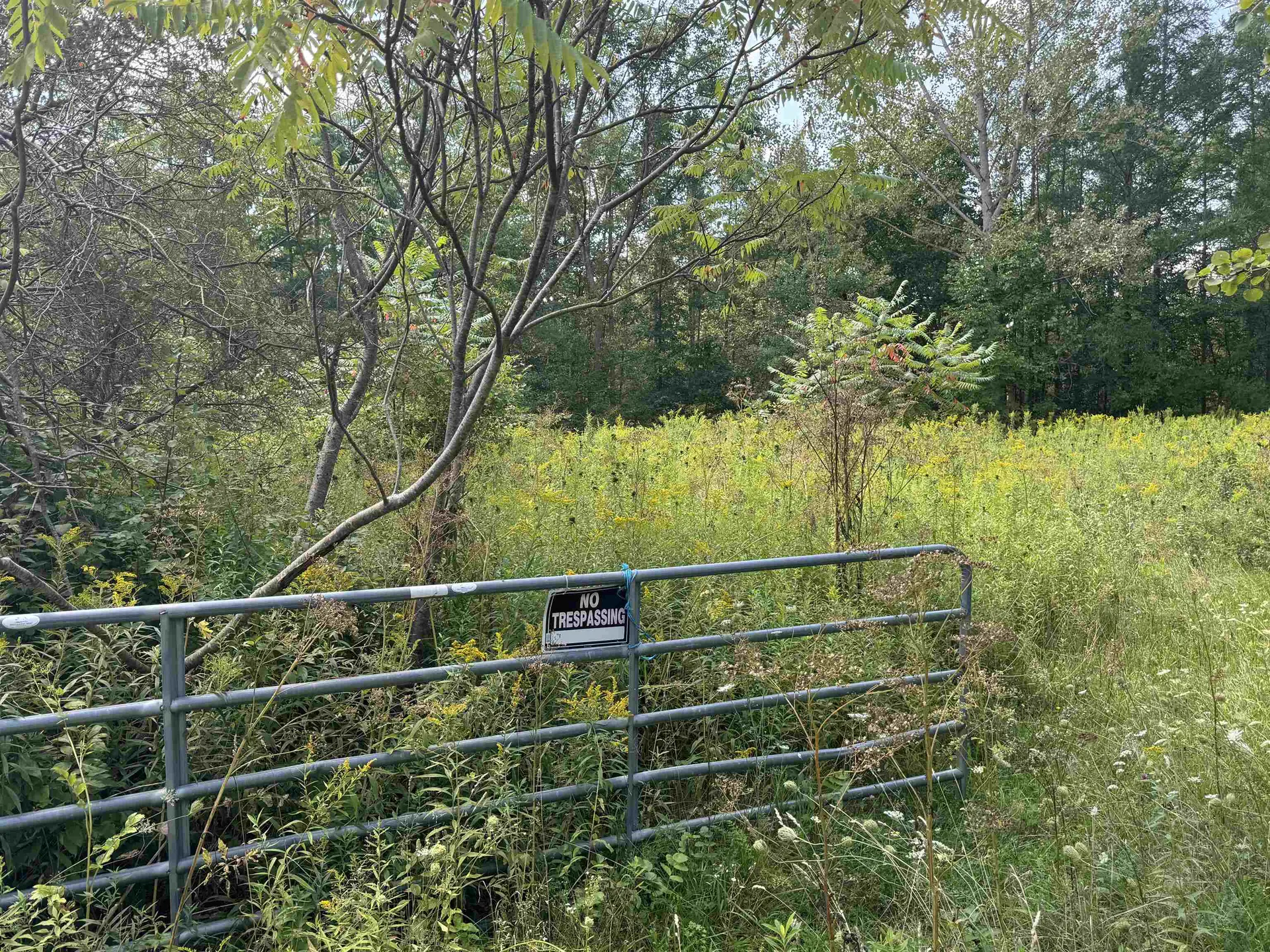 1336 Chapel Road Bennington VT 05201