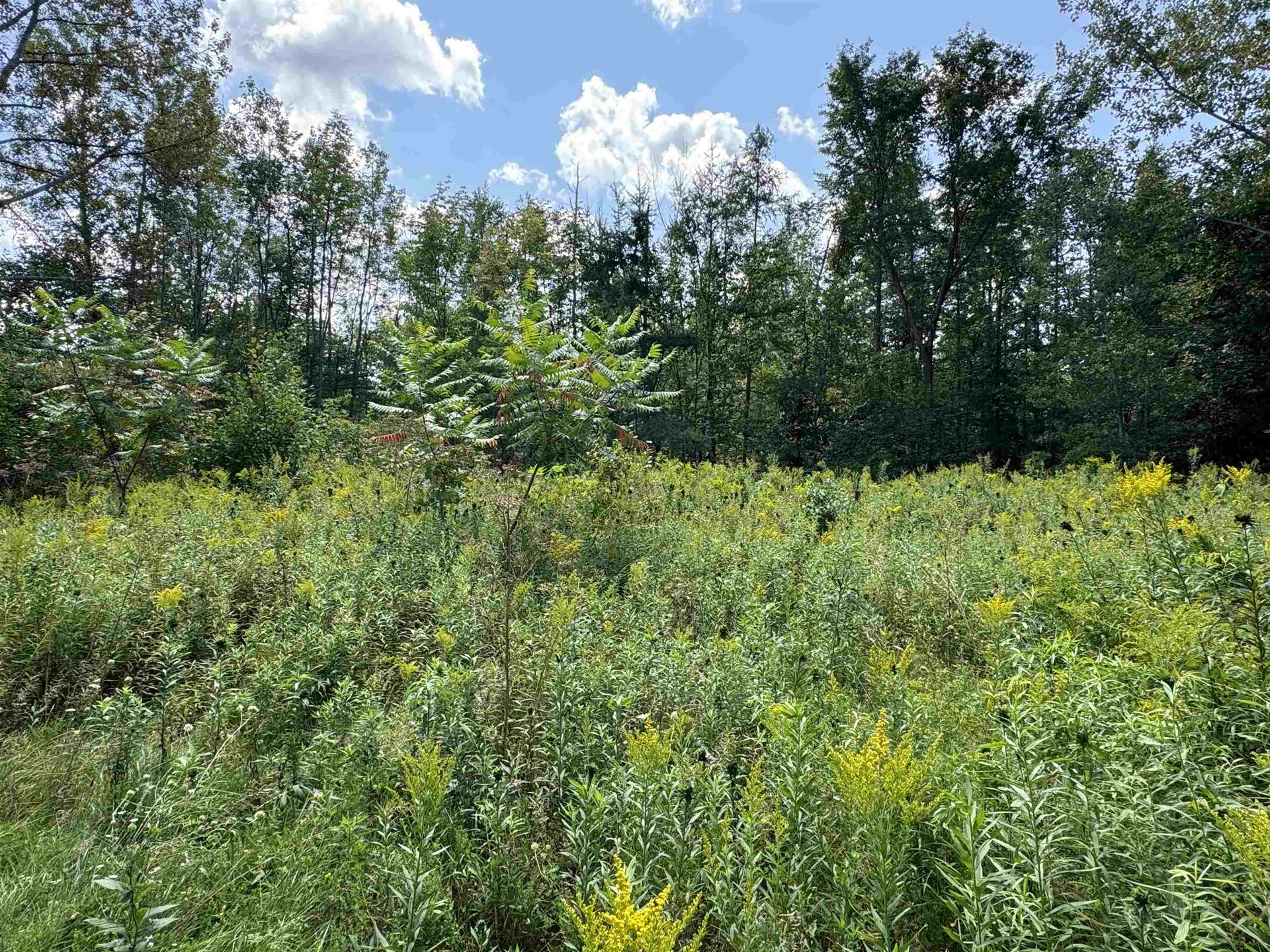 1336 Chapel Road Bennington VT 05201