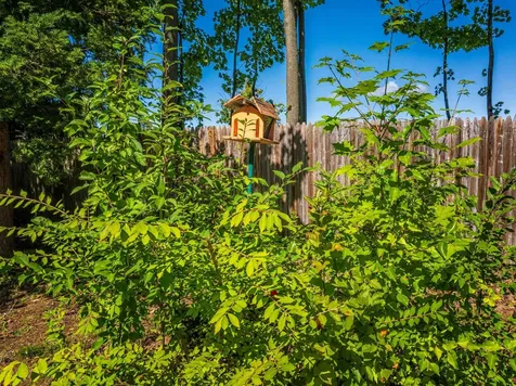 12 Beaver Way Rochester NH 03867