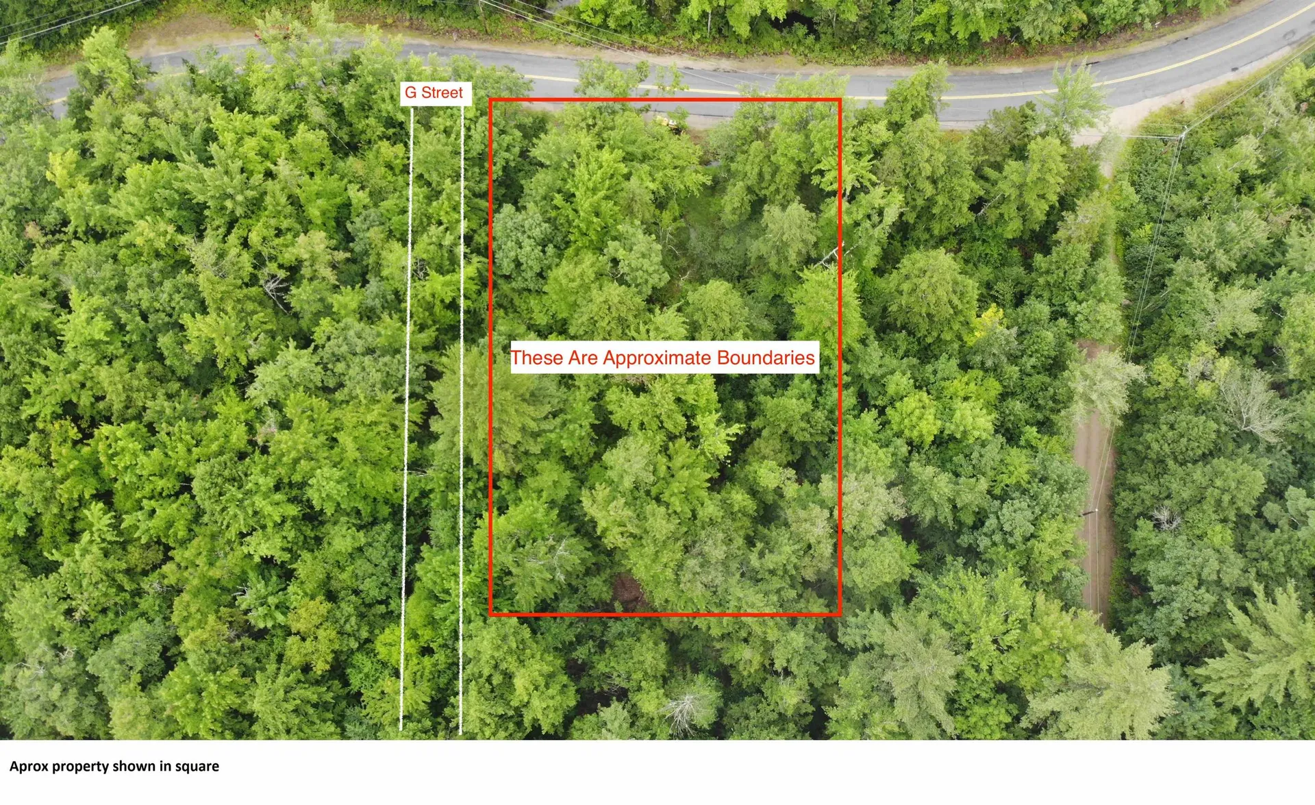 0 Pequawket Drive Conway NH 03818