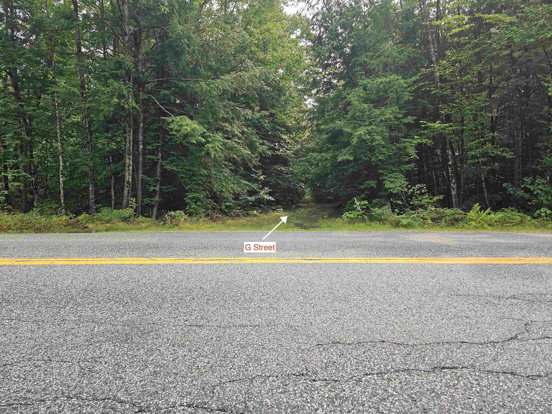 0 Pequawket Drive Conway NH 03818