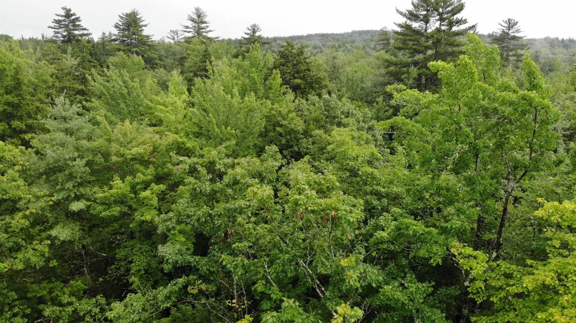 0 Pequawket Drive Conway NH 03818