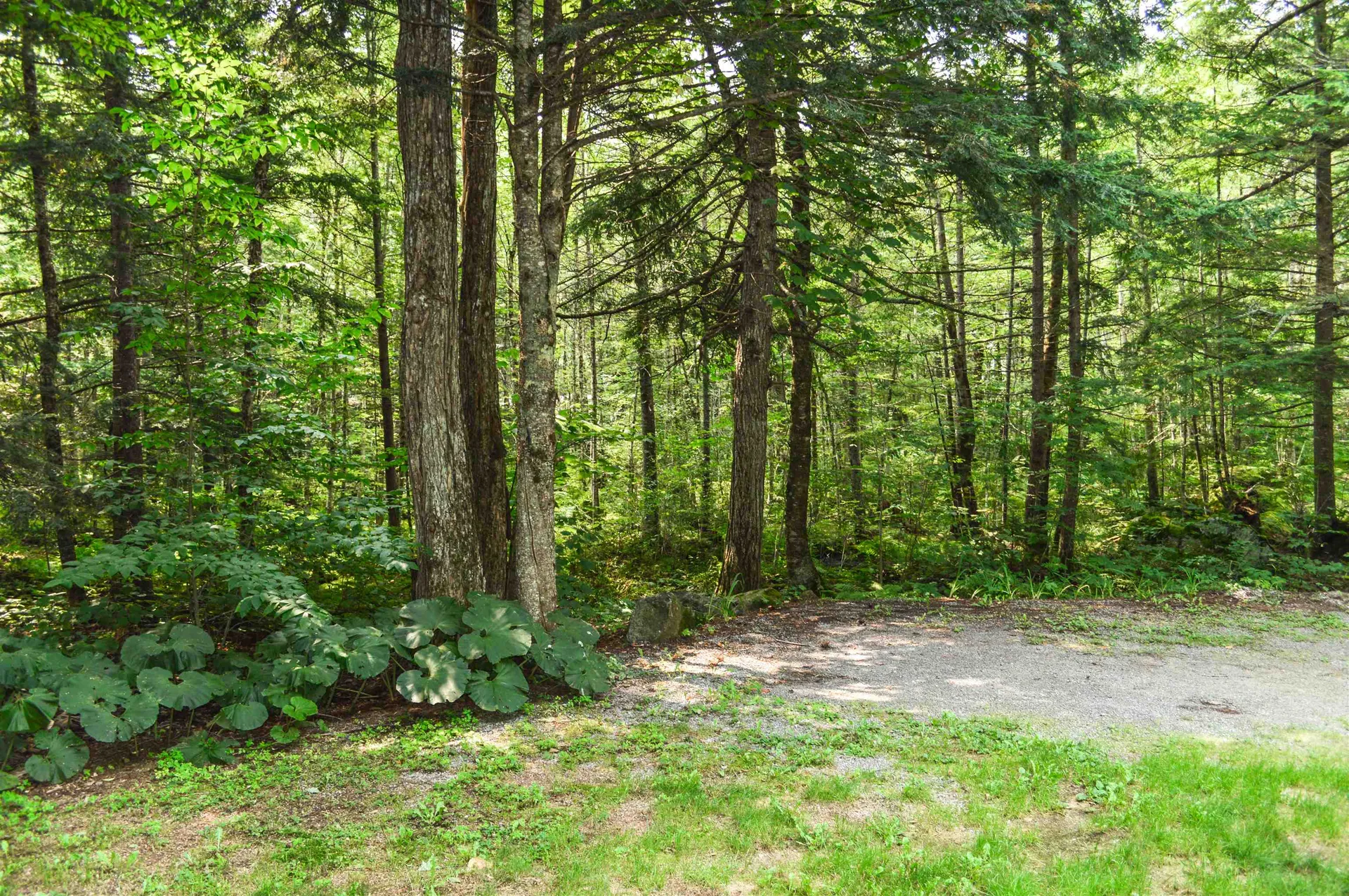 632 Washington Drive Washington NH 03280