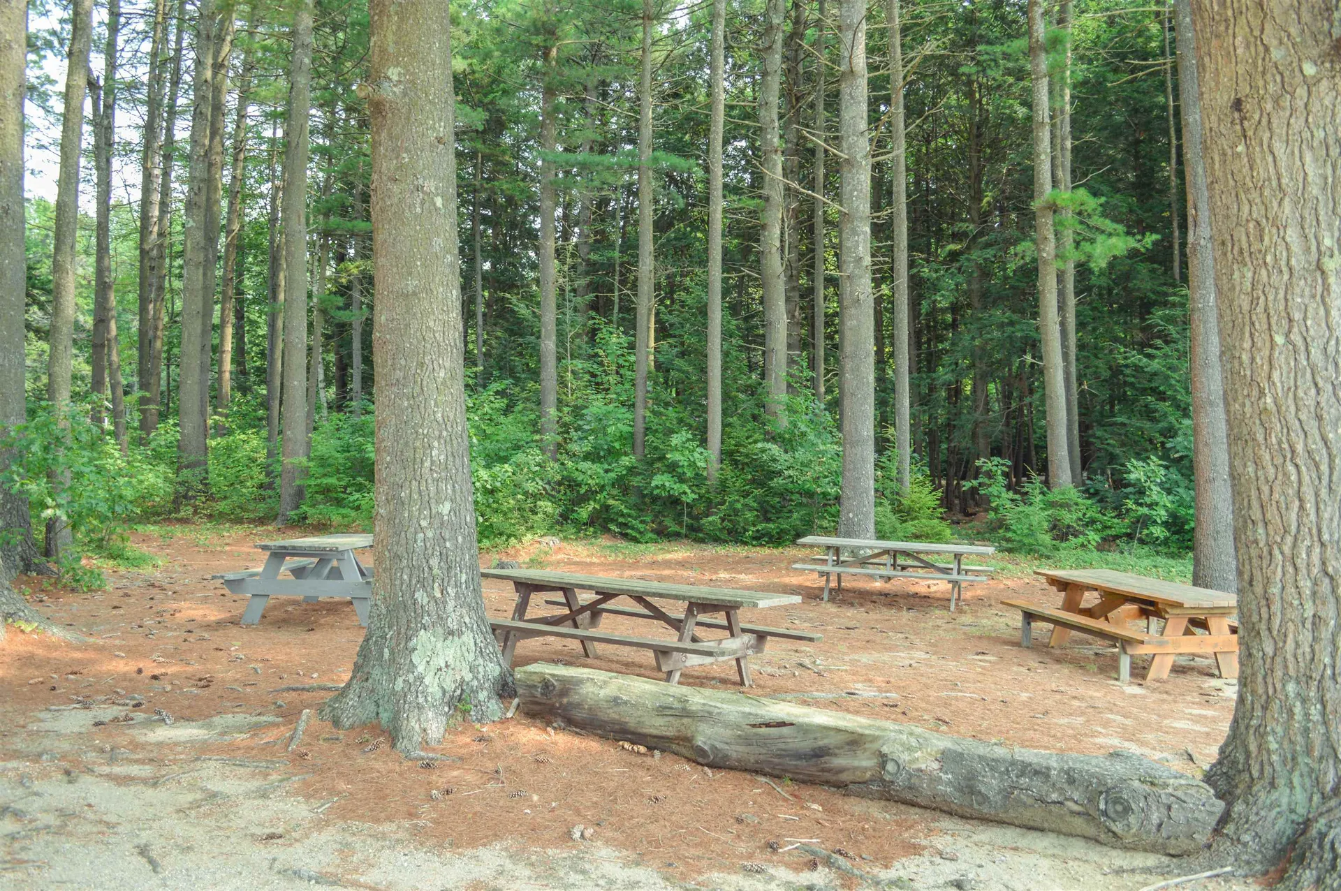 632 Washington Drive Washington NH 03280