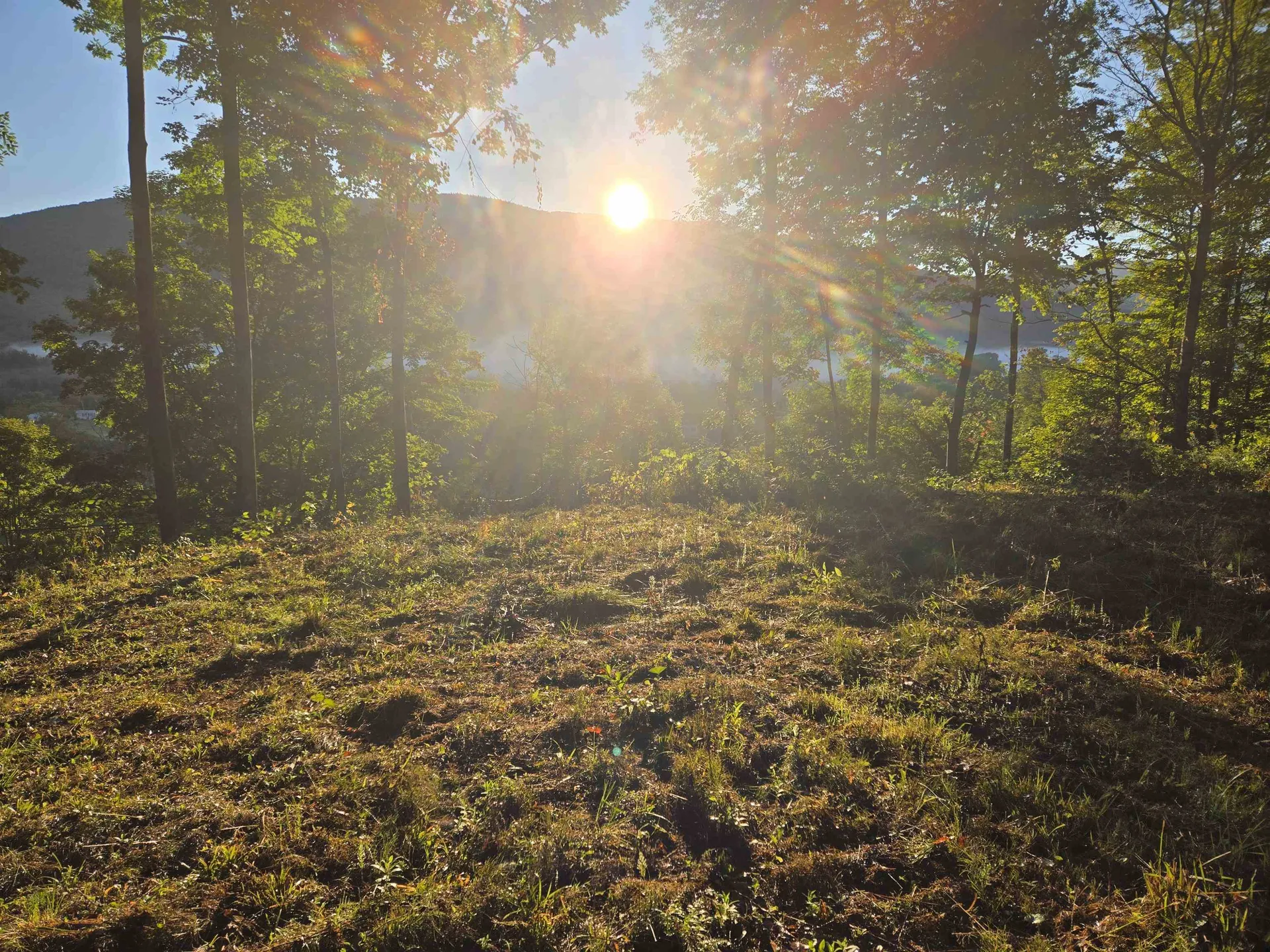 305 Cascade Road Danby VT 05739