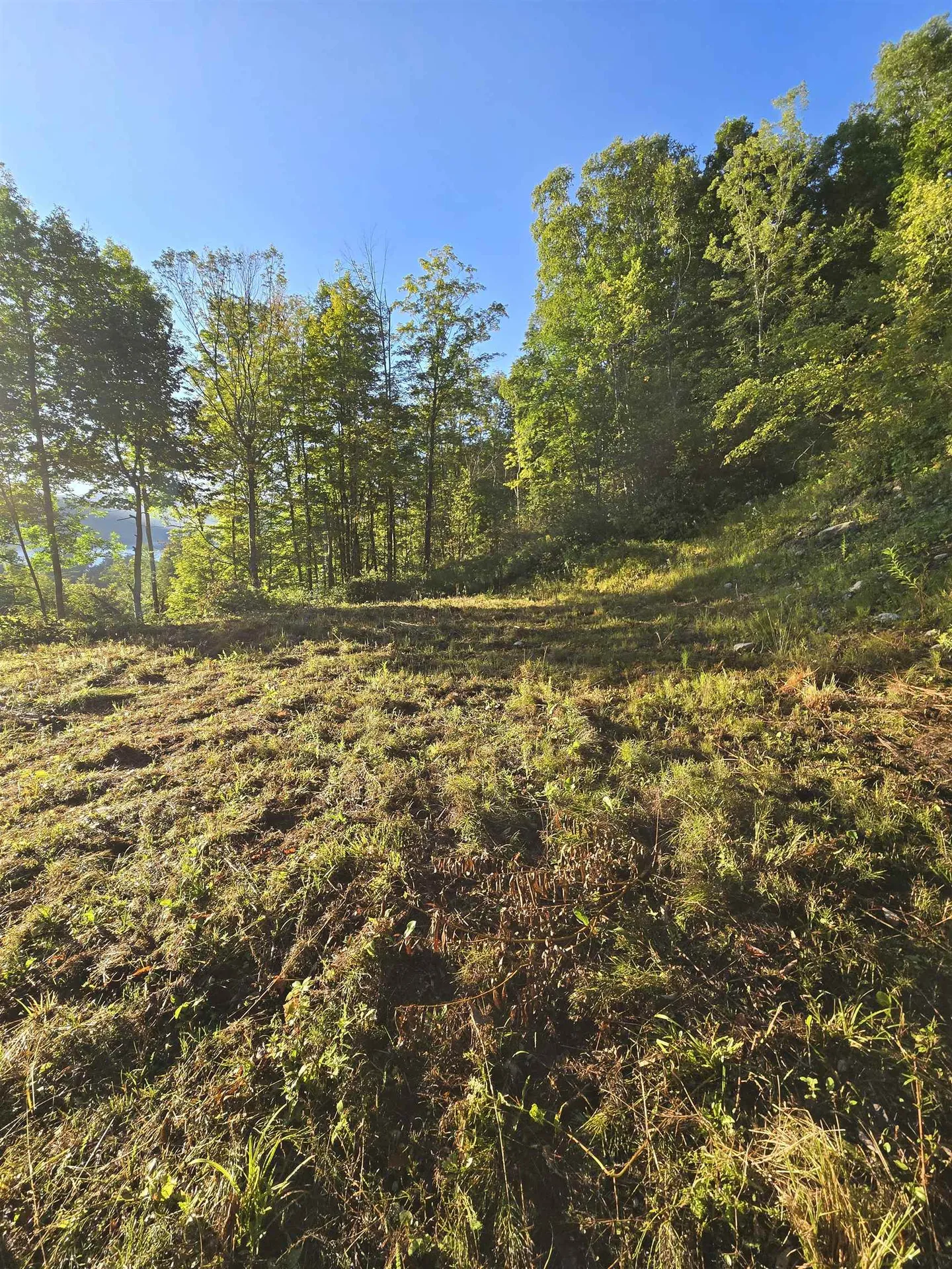 305 Cascade Road Danby VT 05739