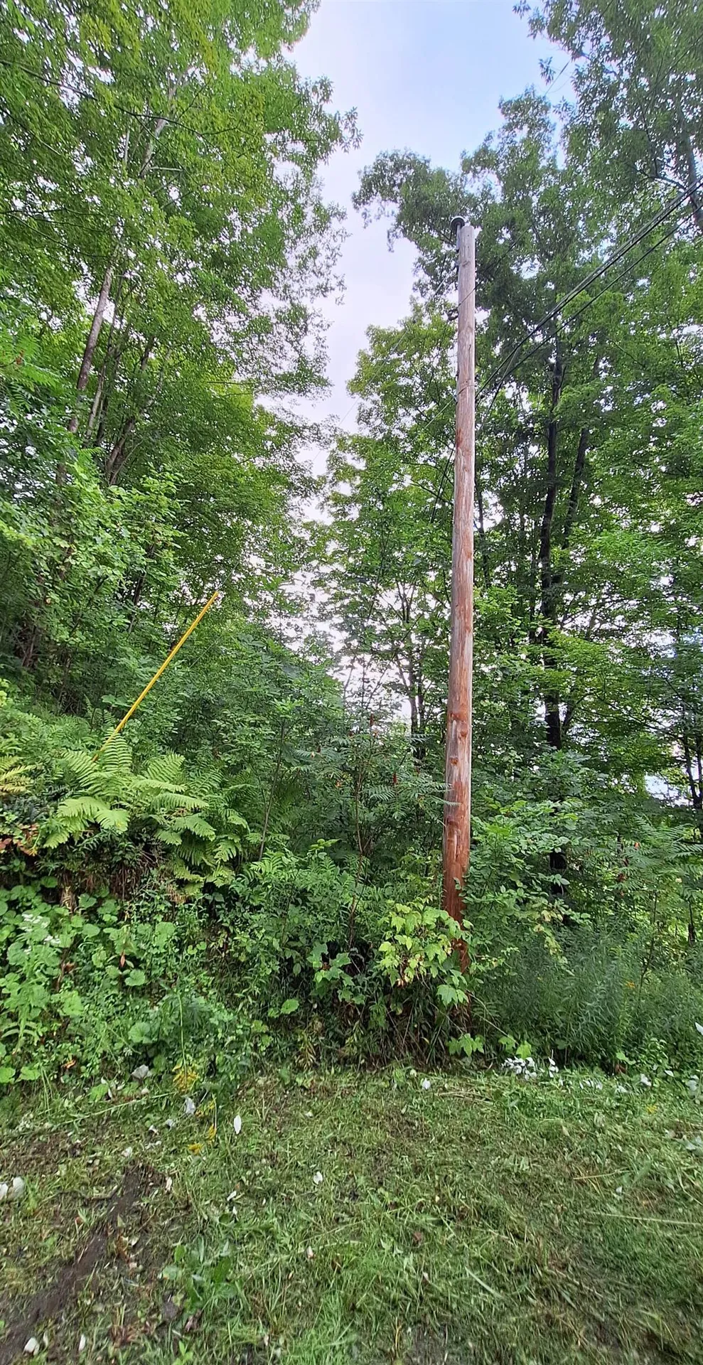 305 Cascade Road Danby VT 05739