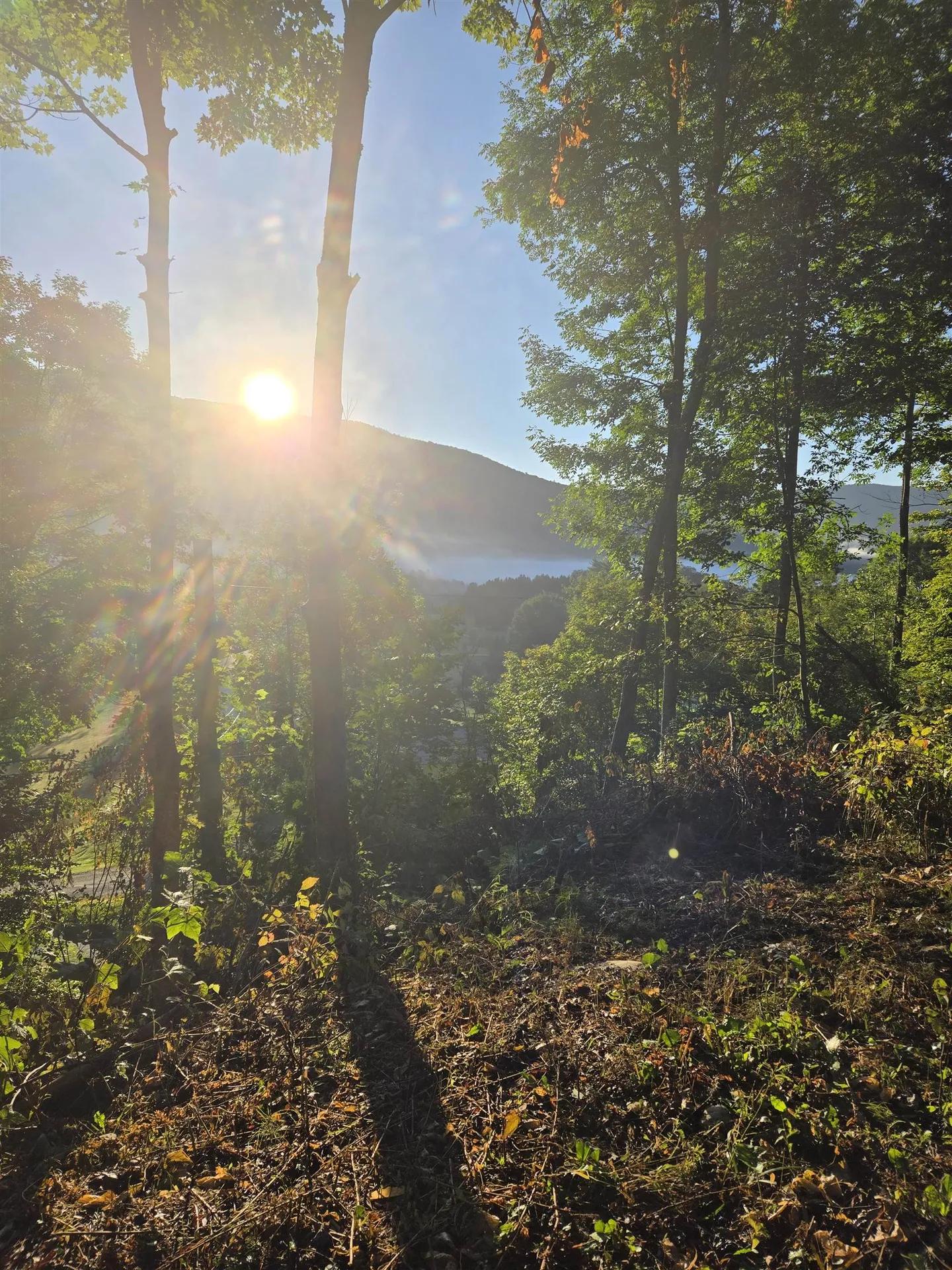 305 Cascade Road Danby VT 05739