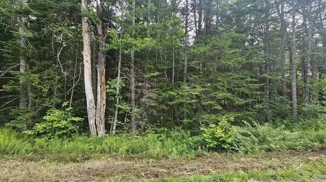 M14 L271 Lincoln Drive Washington NH 03280