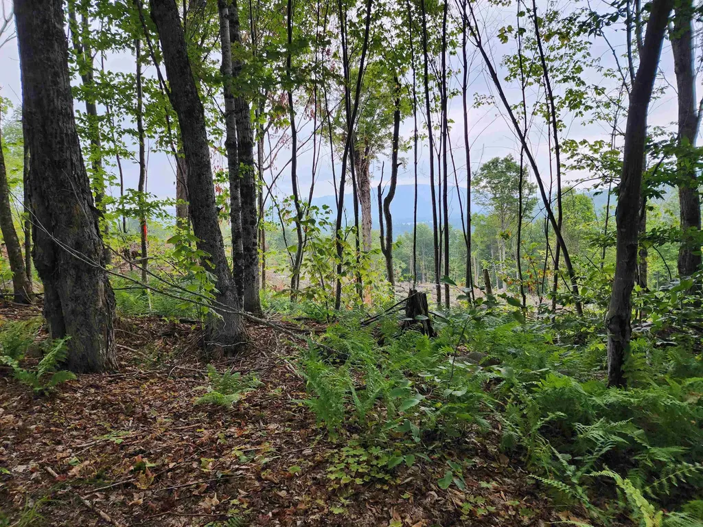 260 Berlin Road Errol NH 03579