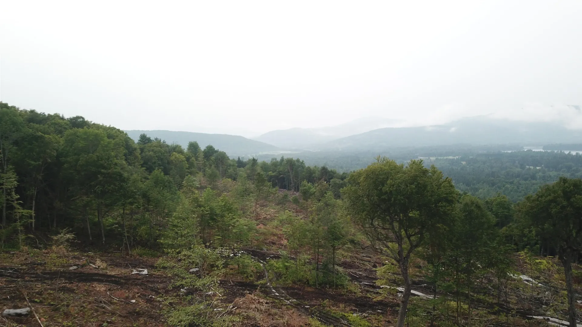 260 Berlin Road Errol NH 03579