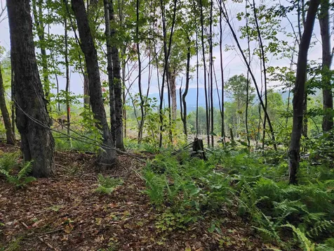 260 Berlin Road Errol NH 03579