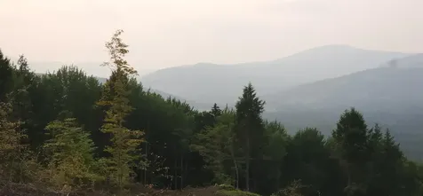 260 Berlin Road Errol NH 03579