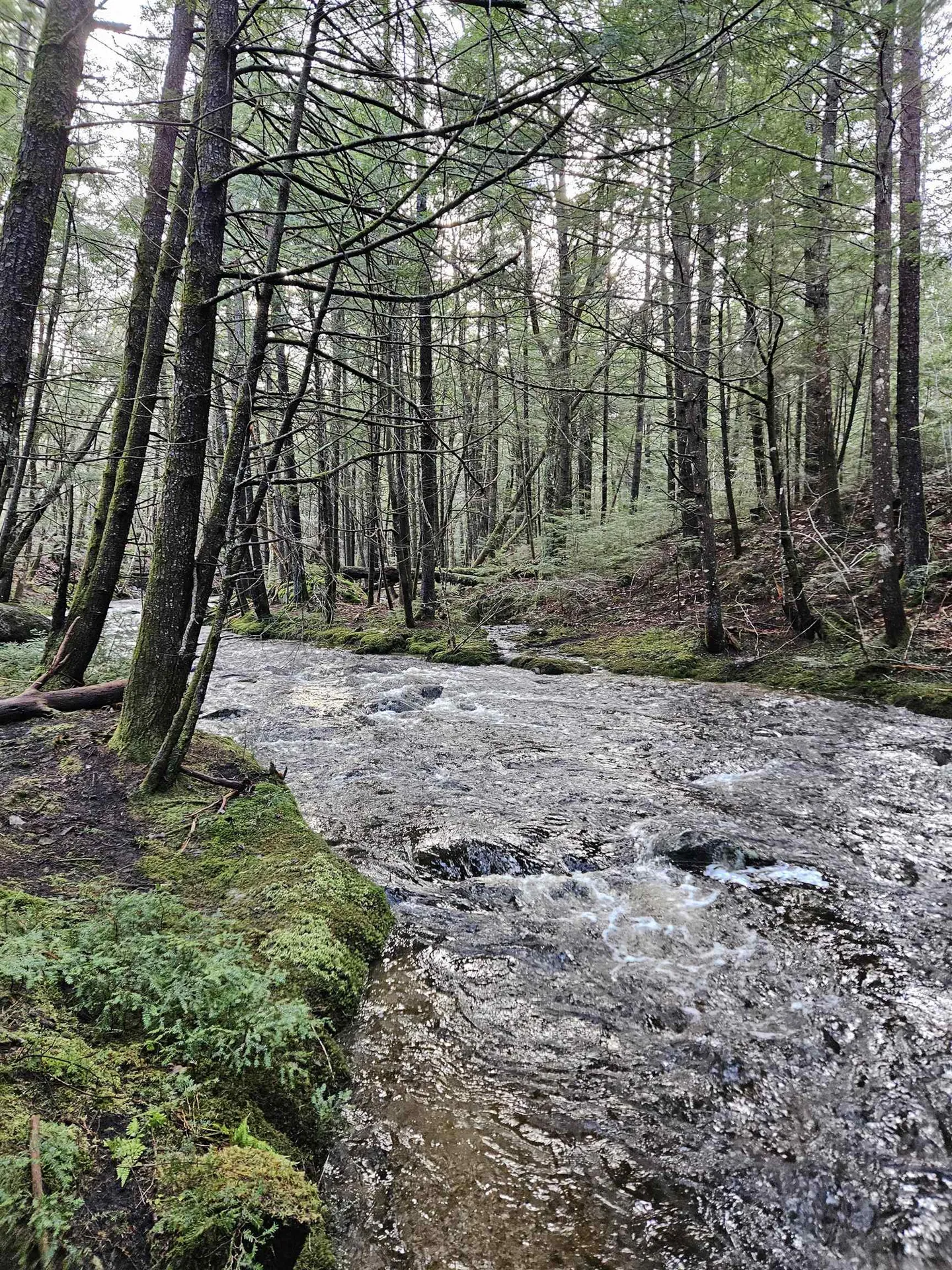 11 Clay Brook Drive Plymouth NH 03264