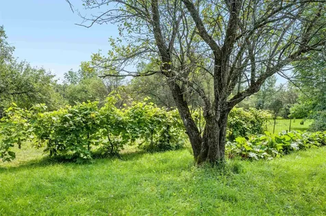 3160 South Hill Road Williamstown VT 05679