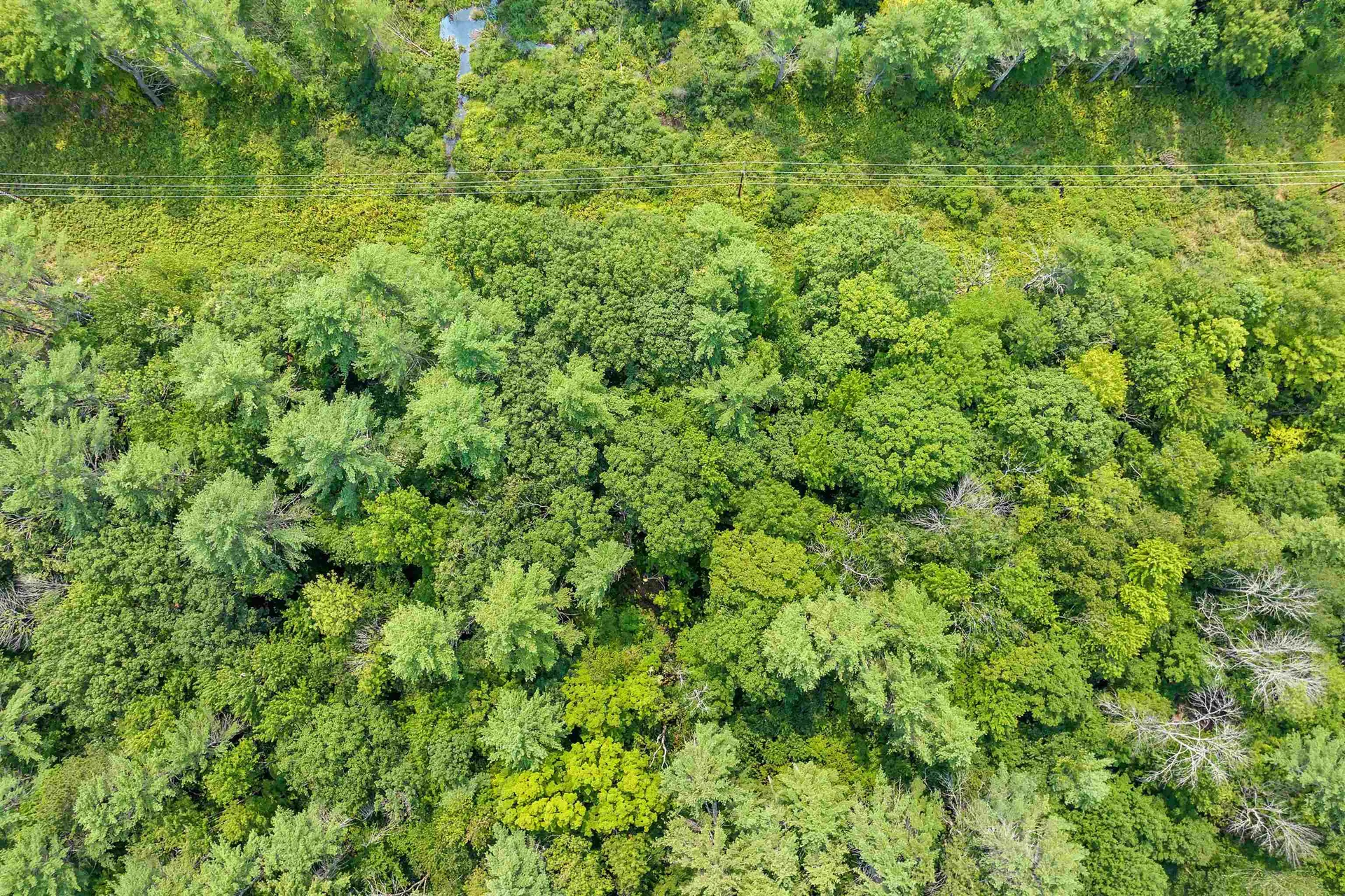 0 Straits Road New Hampton NH 03256