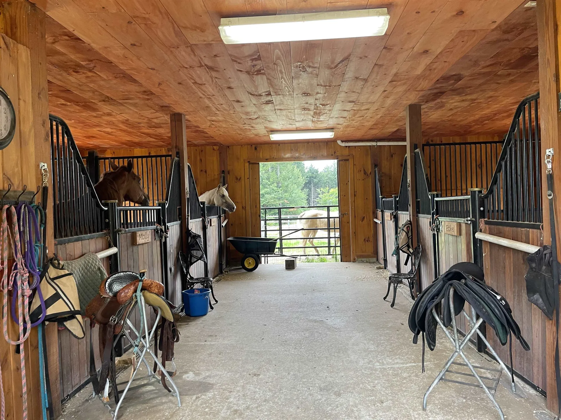 1132 Cleveland Hill Road Tamworth NH 03886