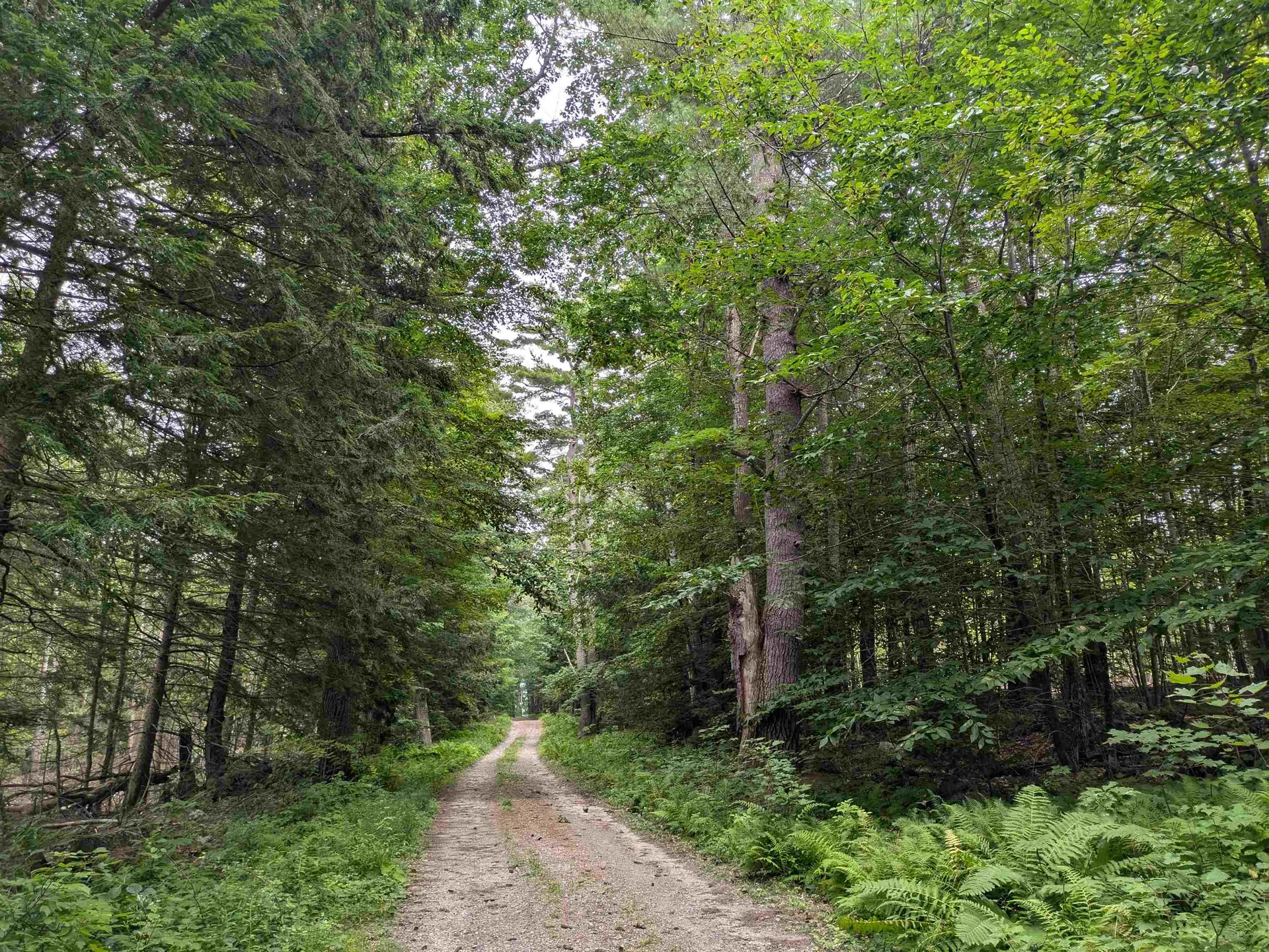 Lot Eaton Grange Road Sutton NH 03221