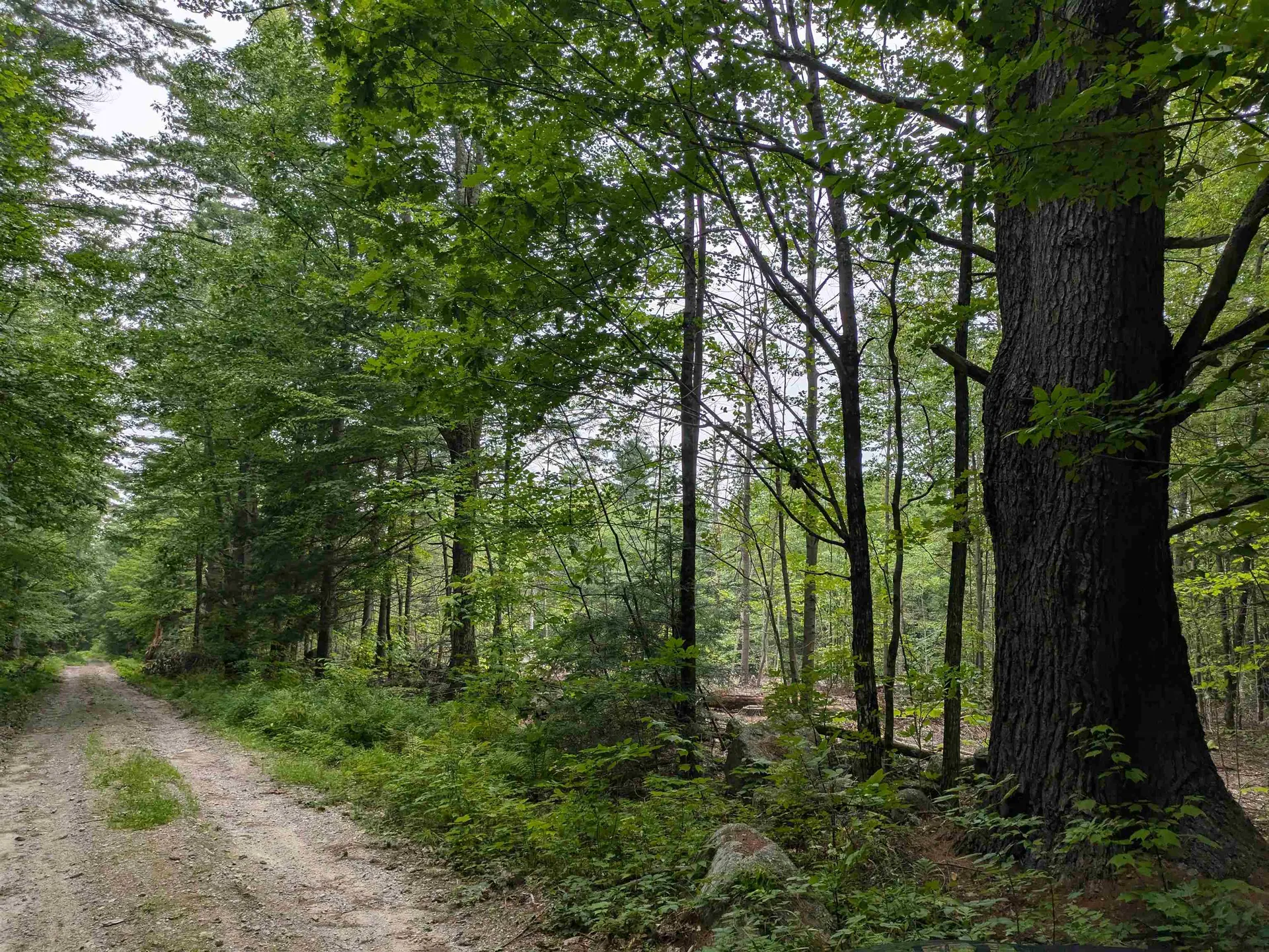 Lot Eaton Grange Road Sutton NH 03221