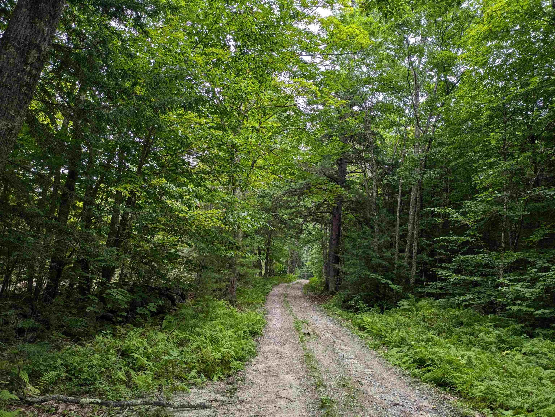 Lot Eaton Grange Road Sutton NH 03221