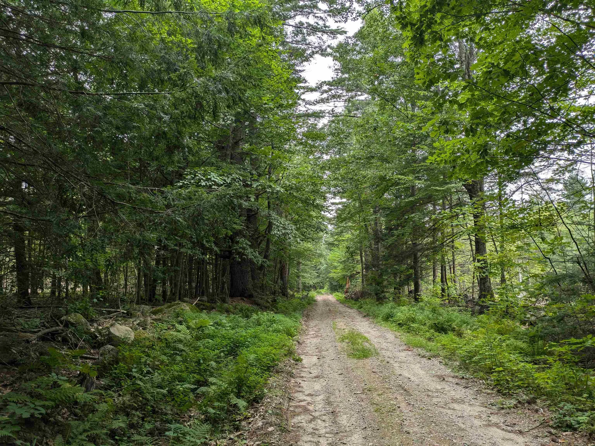 Lot Eaton Grange Road Sutton NH 03221