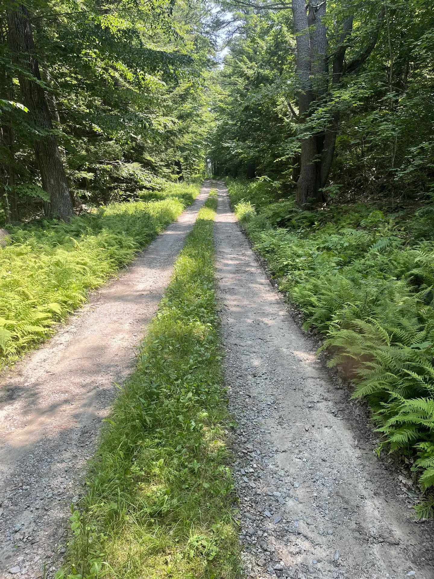 Lot Eaton Grange Road Sutton NH 03221