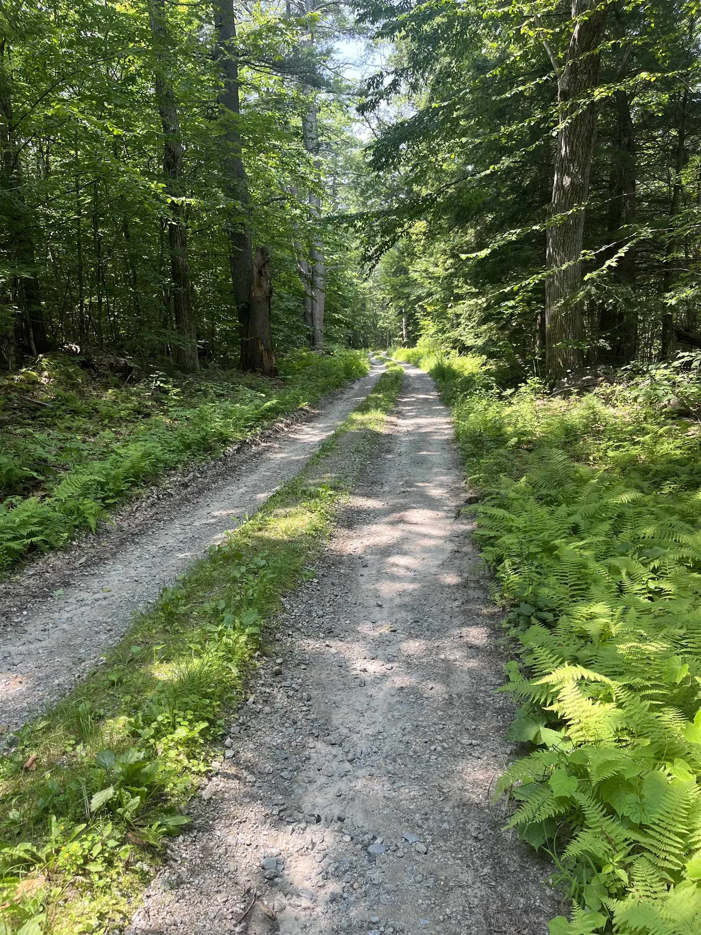 Lot Eaton Grange Road Sutton NH 03221