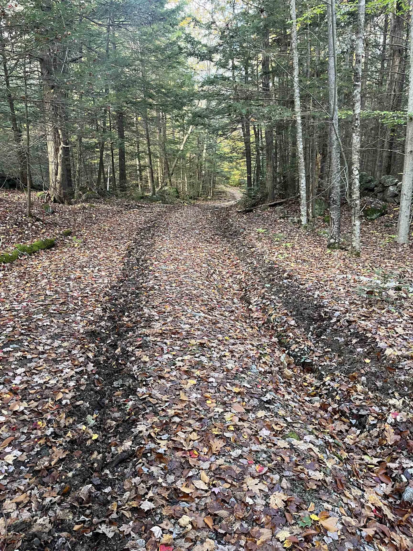 Lot Eaton Grange Road Sutton NH 03221