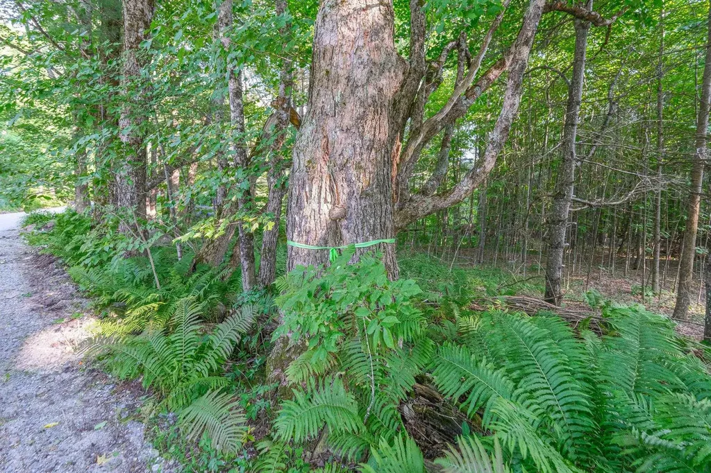 0 Tiffany Road Mount Holly VT 05730